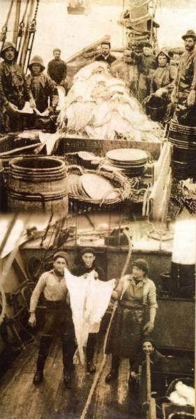 Barco bacaladero
