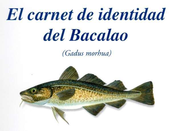 Carnet
