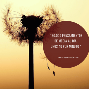 Pensamientos