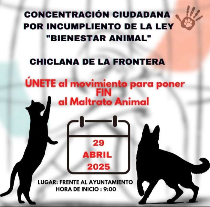 Cartel Concentración 29 de abril