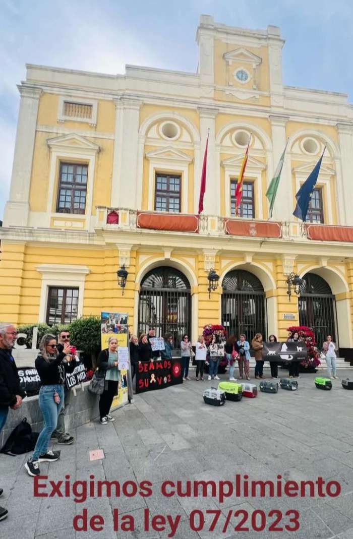Concentración29.04.25
