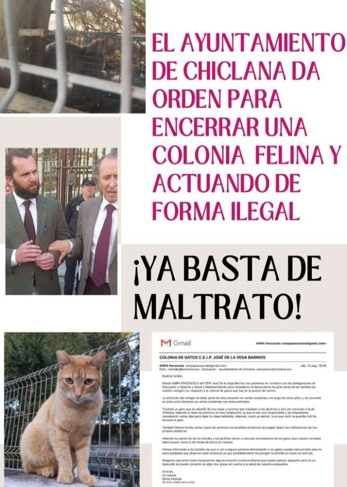 cartel